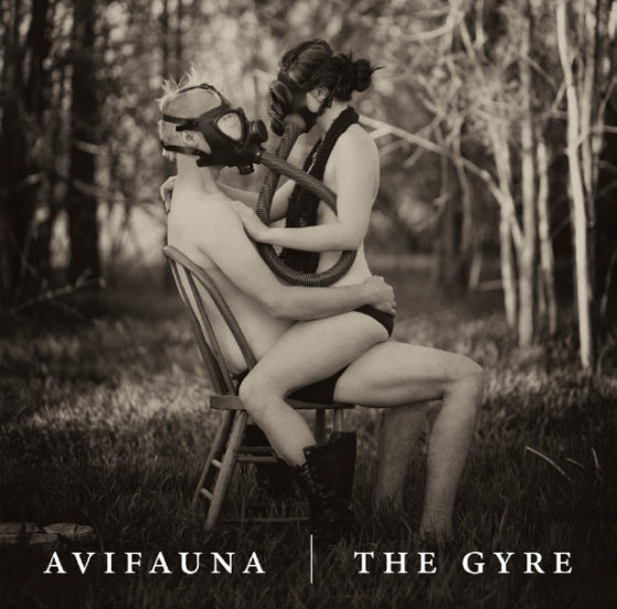 The Gyre cover